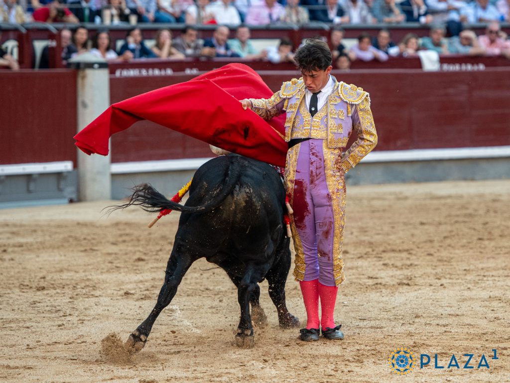 Alejandro Chicharro. Foto: Plaza1
