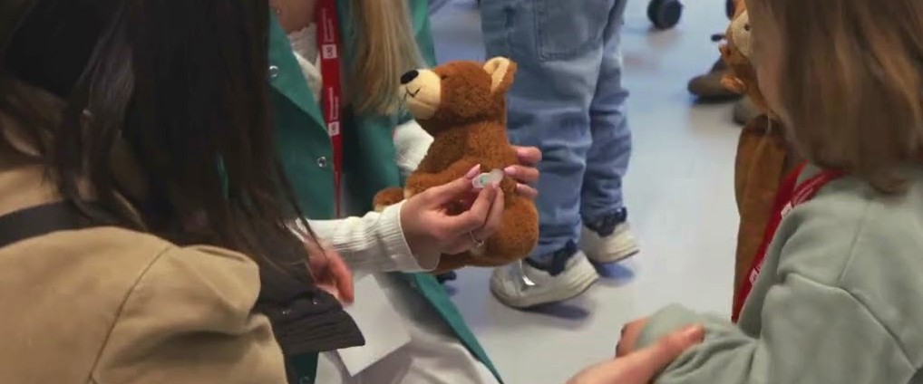 Nueva edición del Hospital de los Ositos